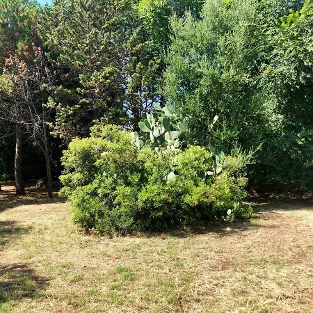 Mare E Rocce Villa