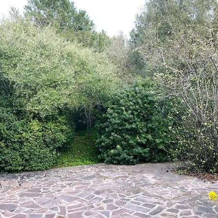 Mare E Rocce Villa Olbia